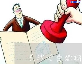 易武龙珠：属于什么茶？种类、茶叶特性及冲泡 *** 全解析