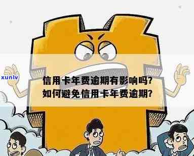 扬州老班章招商加盟