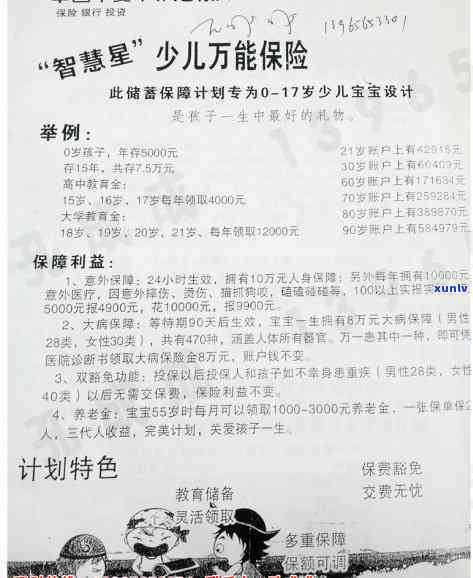 豆青种翡翠价格查询：全面了解翡翠品种、产地、工艺与市场行情的全方位指南