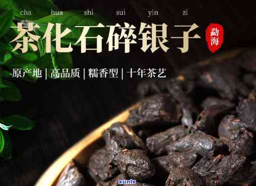 探寻哪款普洱熟茶口感：品鉴与推荐指南