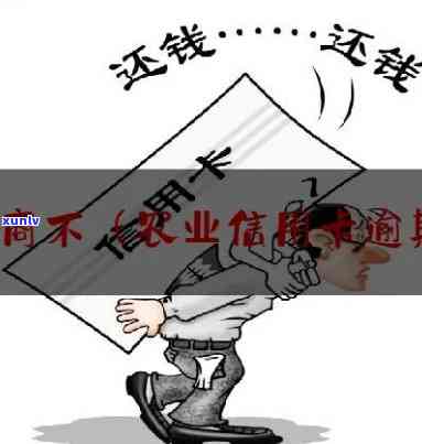 蛇头手镯有什么寓意-蛇头手镯有什么寓意和象征