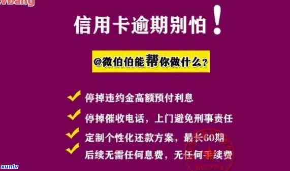 青花星月菩提：探寻古老文化的独特魅力