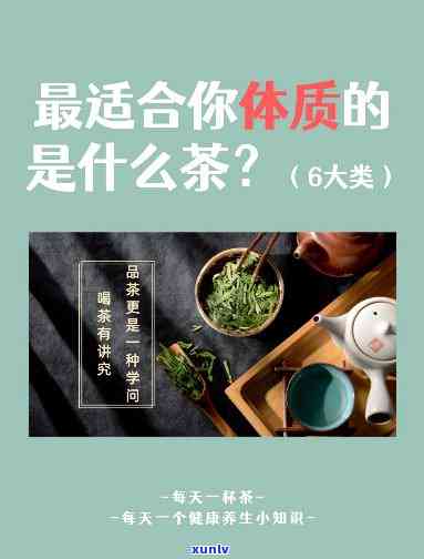 普洱茶的品鉴与冲泡：香喷喷的茶香背后，你需要了解的所有知识