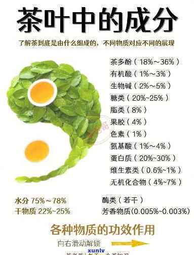 普洱茶泡几遍就没颜色了：探究原因与正常性，一次泡饮失色现象分析