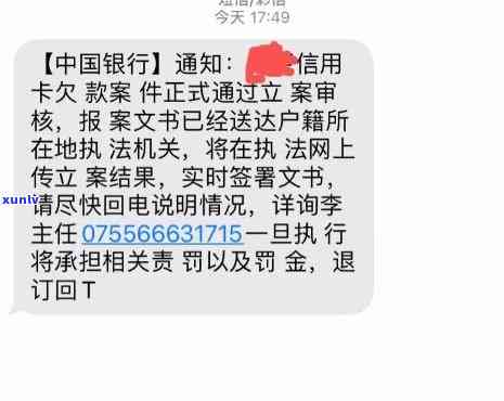 如何将术与茶叶一同泡水饮用？是否可行及注意事项