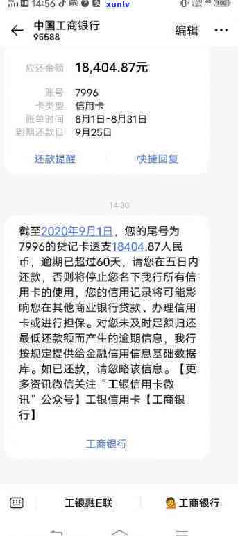 纯正云南大叶种鸡公山古树茶：口感爽，韵味悠长的独特体验