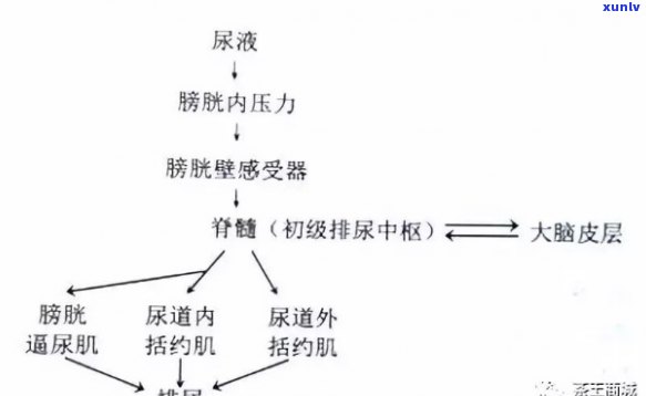 冰透起胶翡翠什么意思，解读珠宝术语：冰透起胶翡翠的含义是什么？