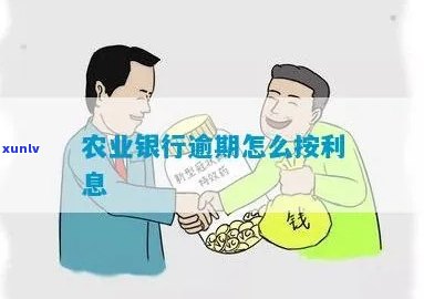 '天福普洱茶怎么样好不好喝，天福的普洱茶怎么样？'