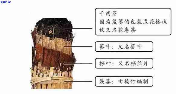 什么茶需要放冰箱冷藏，这些茶叶需要放入冰箱冷藏，你都知道吗？