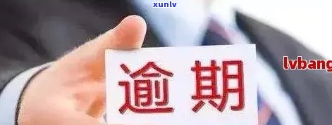 逾期收到告知函后的处理 *** 与应对策略：详细指南