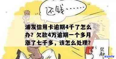 发逾期可以请求减免利息和违约金吗？真实情况及分期还款能否减免手续费？