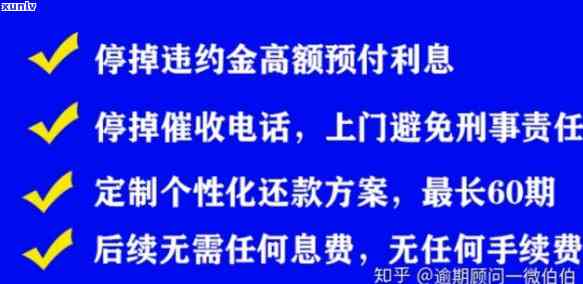 陕西翡翠吊坠图片及价格：高清展示、走势分析与原石行情