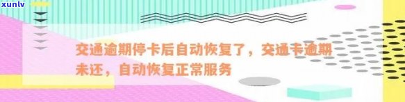 探寻青岛买翡翠的市场：最新指南与地址信息