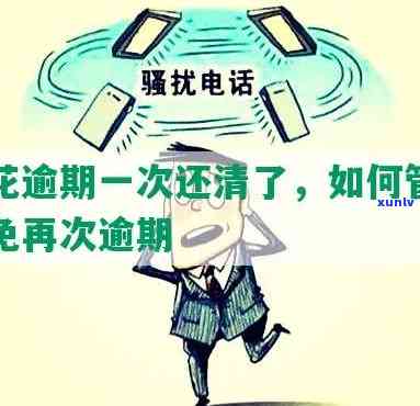 买玉石的青姐：身份揭秘与扮演者解析