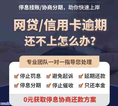 金色大益开元饼价钱-金色大益开元饼简介