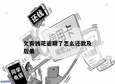 勐海老班章茶厂：品茗胜地与高品质茶叶背后的故事