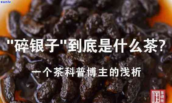 云号南糯山普洱茶：价格与品质并重