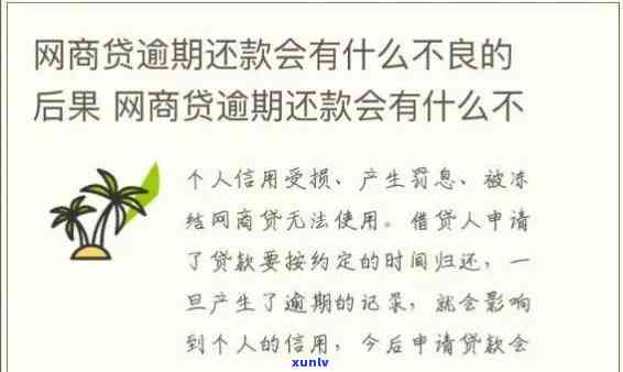 云南老班章古树生茶口粮茶——勐海批发价格实，京东保障