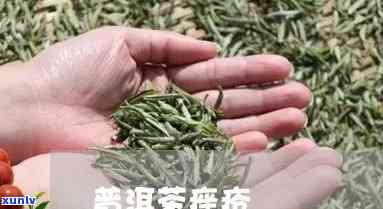 信用卡逾期拖欠好多年不还-信用卡逾期拖欠好多年不还会怎么样