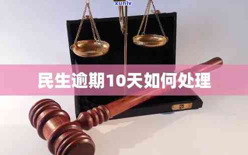 逊克宝山乡玛瑙市场的全面指南：如何选购、价格、交通等一应俱全