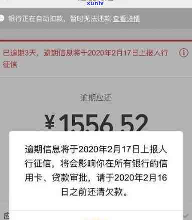 小菊普洱茶的降火效果：是否适合上火体质？饮用注意事项与功效解析