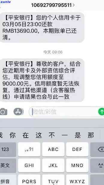 08年冰岛熟普茶多少钱一饼，2008年冰岛熟普茶市场价格分析：一饼价值几何？