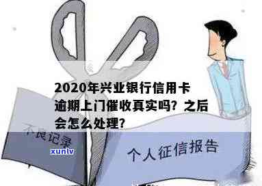 全面了解金牛绿翡翠管质量：从原材料到生产工艺，如何判断优质产品？