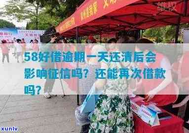 冰岛五寨茶叶：价格、特点与收藏价值全解析，附高清图片及原料成本价，一文看懂市场排名