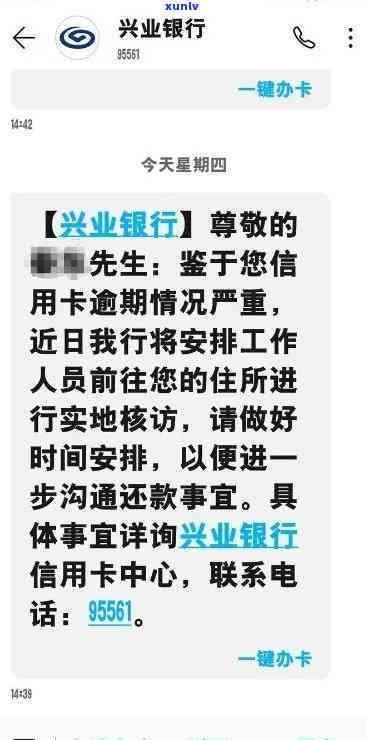 入门普洱茶哪个牌子：品质与价格的完美平