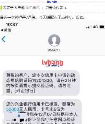 从基础到高级：全面解析翡翠珠子项链绳的编法，教你轻松掌握 *** 技巧