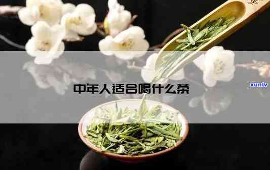 小青柑茶一斤多少个？茶叶数量解析