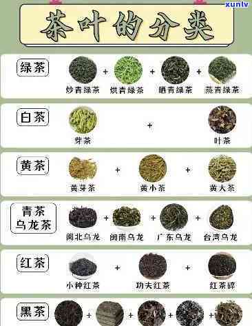 普洱茶六大品种：按产地、工艺和口感划分，一文解读各种普洱茶的特点