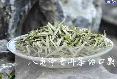 广州御举诚茗茶叶怎么样？全方位解析御举诚茗茶叶