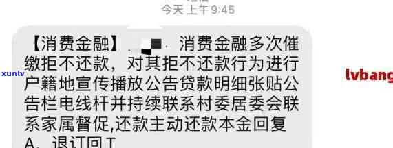 冰种裴翠手镯-冰种翡翠手镯