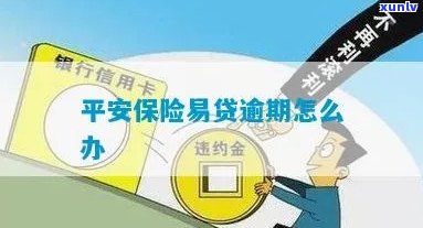 鱼籽玛瑙有收藏价值吗？简介、手串及原石图片