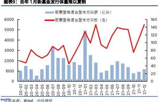 老班章与古树：辨别两者的差异与特色