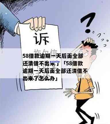 全面解析圆珠药材的功效与作用：是否适合泡酒？看这里！附图。同时了解其药效、禁忌与使用 *** 。