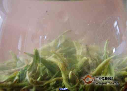 老班章古树普洱茶：纯料茶叶价格、品质与收藏价值详解