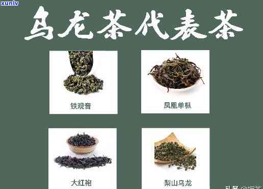 普洱茶熟化过程详解：从原料到口感的全方位解读