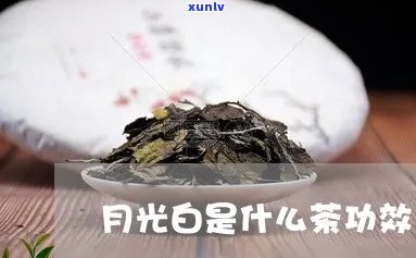 全面分析逾期贷款和信用卡业务风险：用户搜索问题的解答与预防措