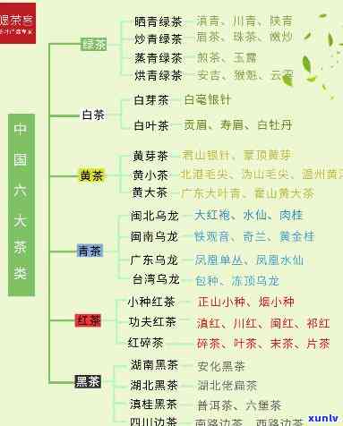 云南茶树王茶业官网：探索其产品价格及了解更多资讯