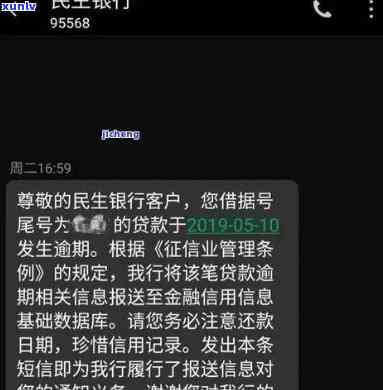 冰岛散茶多少钱一斤？购买、冲泡与保存全指南