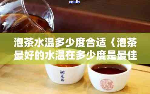 云南滇红大金针茶：一种独特的红茶品种还是普洱茶的误解？