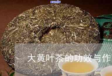 冲泡茶叶的正确 *** -冲泡茶叶的正确 *** 视频