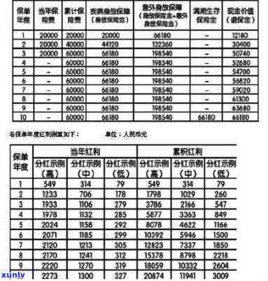 济南交通违法逾期举报  及号码是多少？