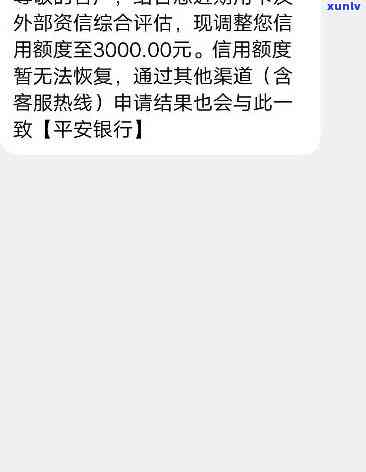 '成都老班章招商条件是什么' - 全面了解成都老班章招商详情