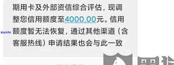 逾期还款能否办理信用卡？揭秘信用卡申请中的逾期影响