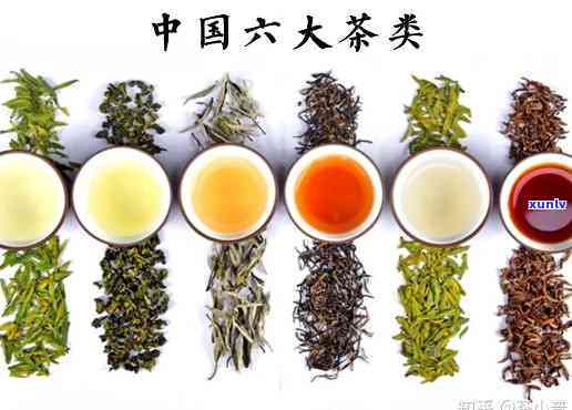 六大茶山有哪些茶，探秘中国茶文化：六大茶山的主要茶叶品种解析