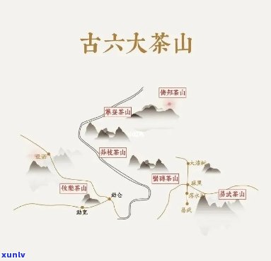 探索古六大茶山的口感特点：独特的地域风味与历文化背景