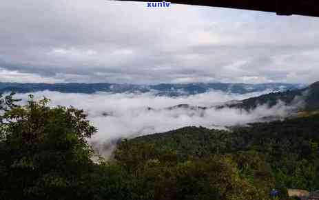 古六大茶山的六匹马-古六大茶山的六匹马是什么